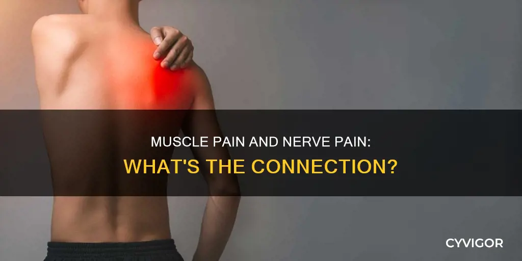 can hurt muscles cause nerve pain