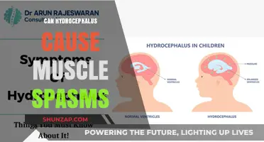 Hydrocephalus and Muscle Spasms: Is There a Link?