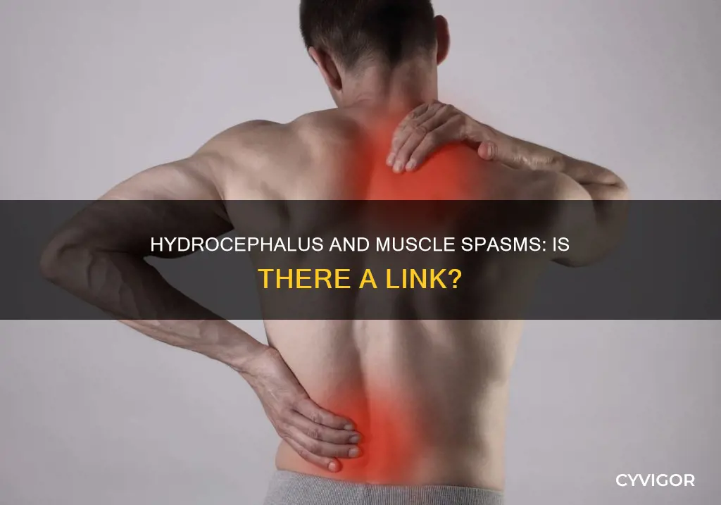 can hydrocephalus cause muscle spasms