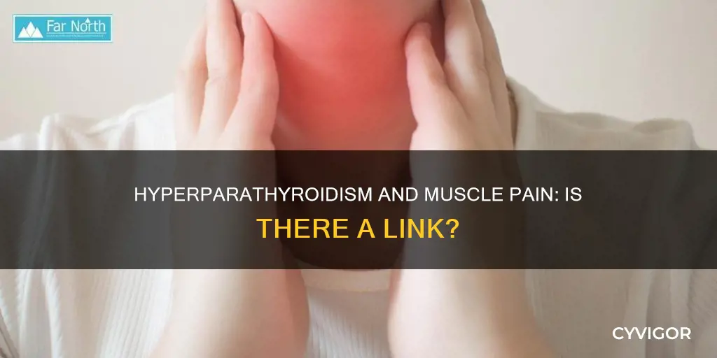 can hyperparathyroidism cause muscle pain