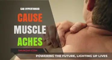 Hyperthyroidism and Muscle Aches: Is There a Link?