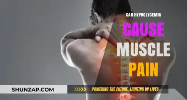 Hypoglycemia and Muscle Pain: Is There a Link?