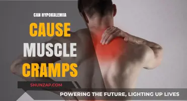 Hypokalemia and Muscle Cramps: What's the Link?