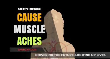 Hypothyroidism: Muscle Aches and Pains Explained
