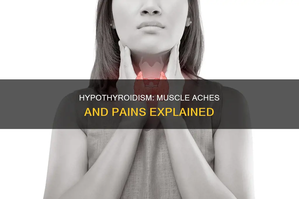 can hypothyrodism cause muscle aches