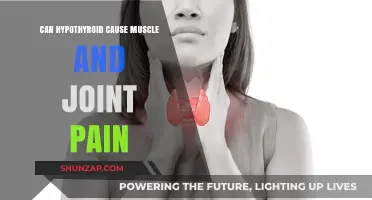 Hypothyroidism: Muscle and Joint Pain Connection