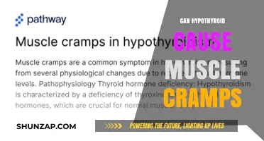 Hypothyroidism and Muscle Cramps: What's the Link?