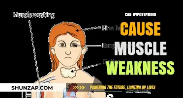 Hypothyroidism: Muscle Weakness and Fatigue Explained