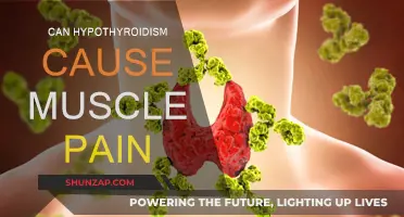 Hypothyroidism and Muscle Pain: Is There a Link?