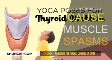 Hypothyroidism and Muscle Spasms: Is There a Link?