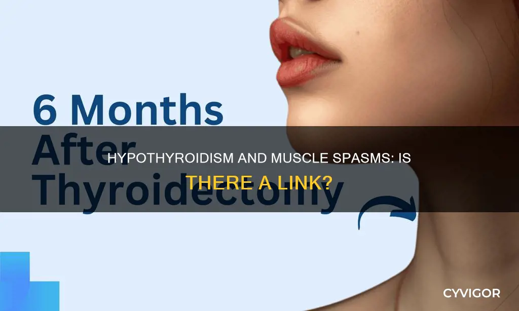 can hypothyroidism cause muscle spasms