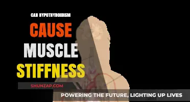 Hypothyroidism and Muscle Stiffness: Is There a Link?