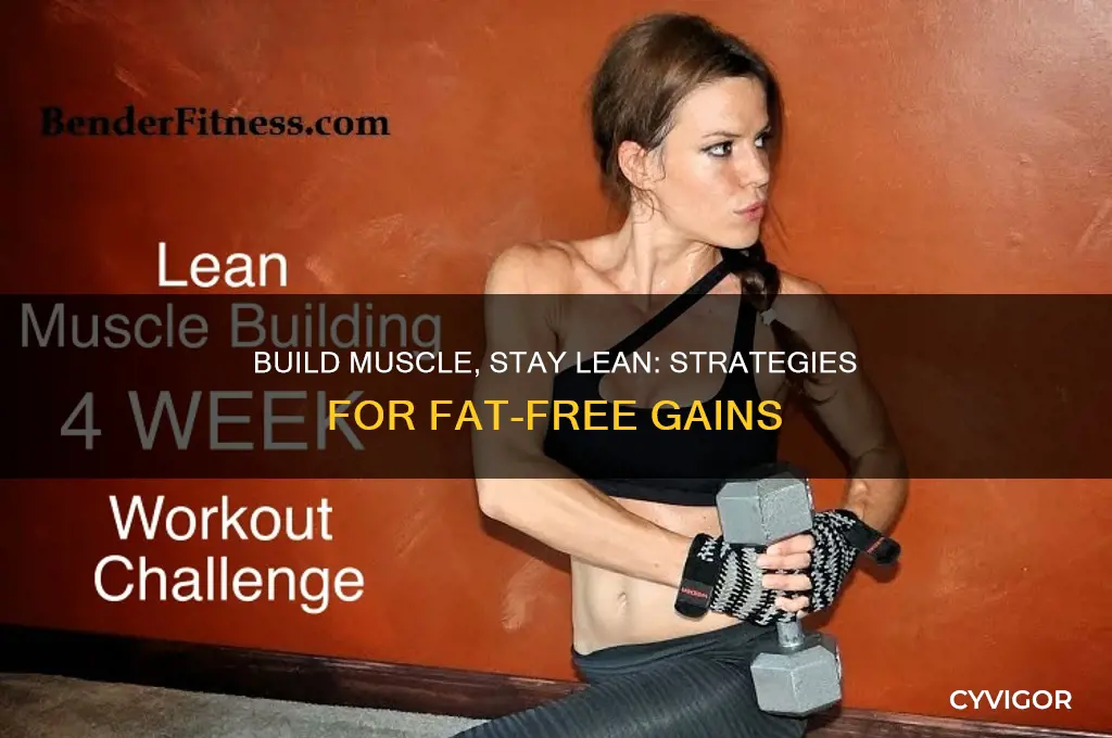can i build muscle without gaining fat