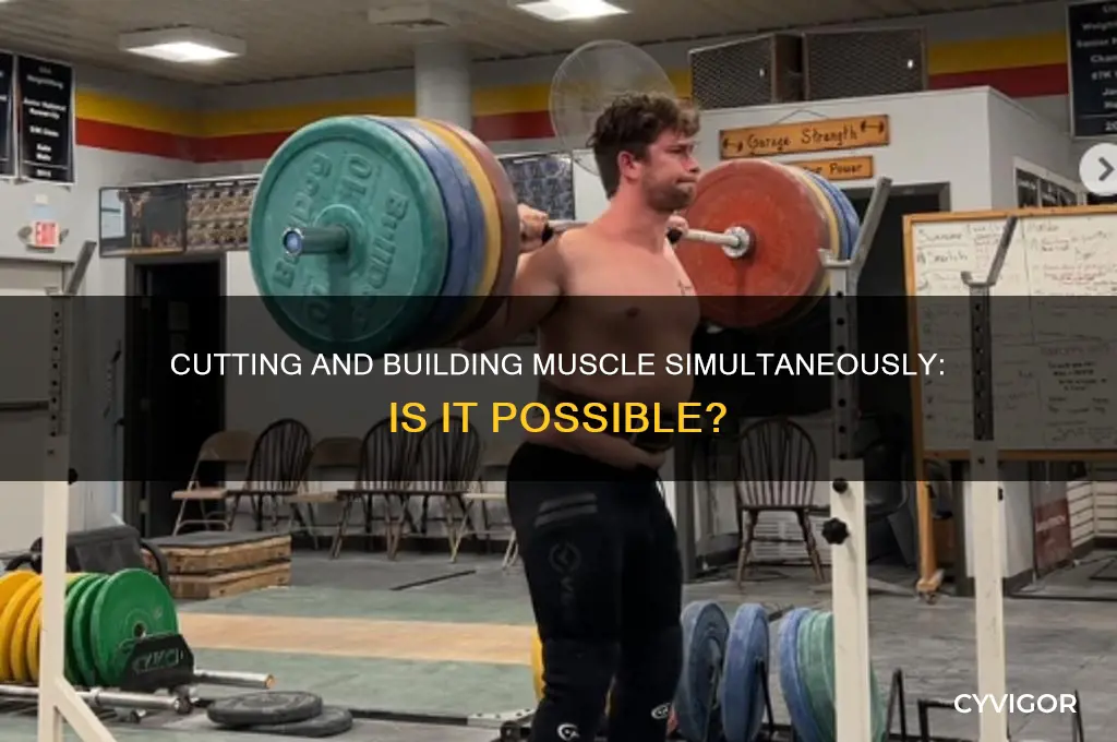 can i cut and gain muscle at the same time