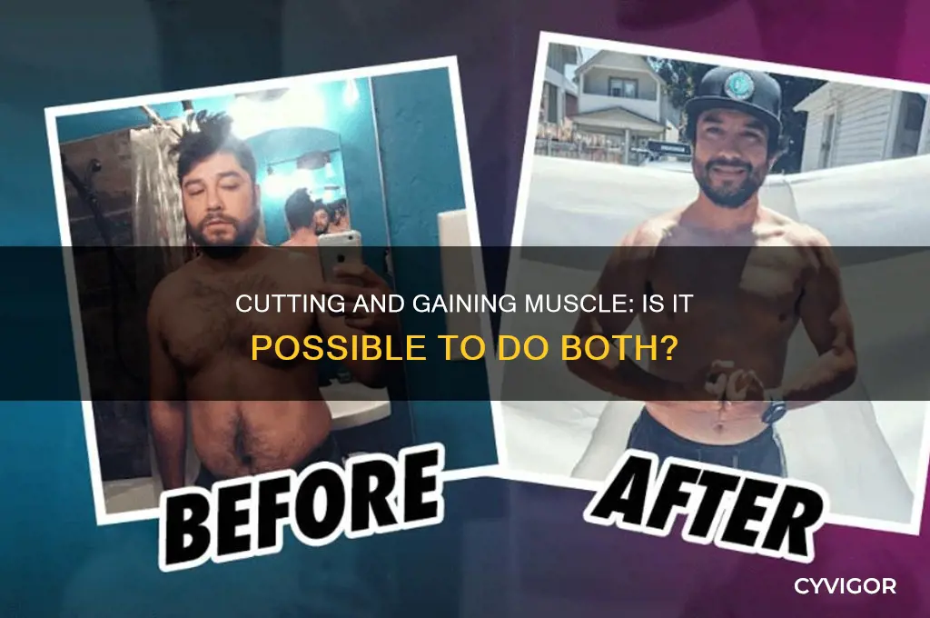 can i cut and gain muscle