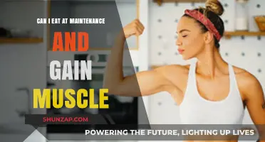Can You Build Muscle While Eating at Maintenance Calories?