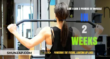 Gaining 3 Pounds of Muscle in 2 Weeks: Is It Possible?
