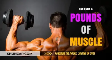 How to Gain 5 Pounds of Muscle: Effective Strategies and Tips