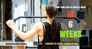 Gaining 5lbs of Muscle Mass in 6 Weeks: Is It Possible?