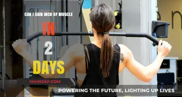 Is Gaining an Inch of Muscle in 2 Days Possible?