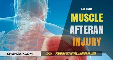 Recovering Stronger: Gaining Muscle After an Injury Safely and Effectively