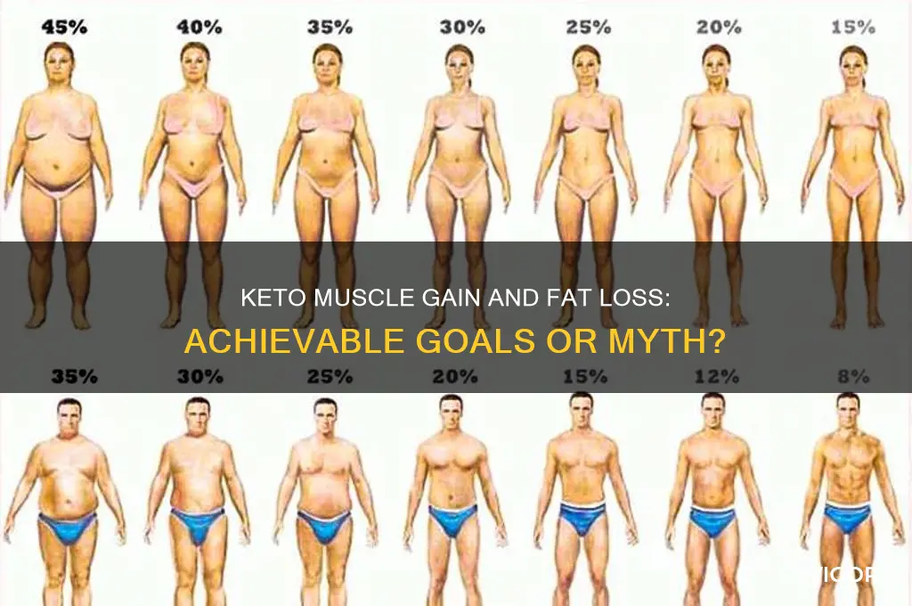 can i gain muscle and lose fat on keto