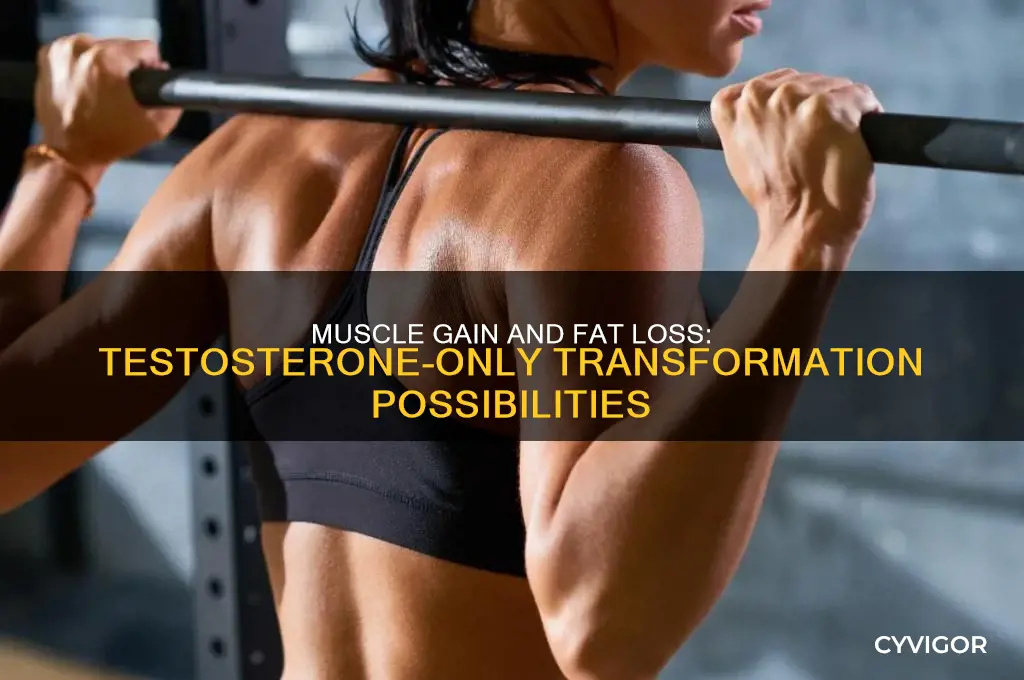 can i gain muscle and lose fat on testosterone only
