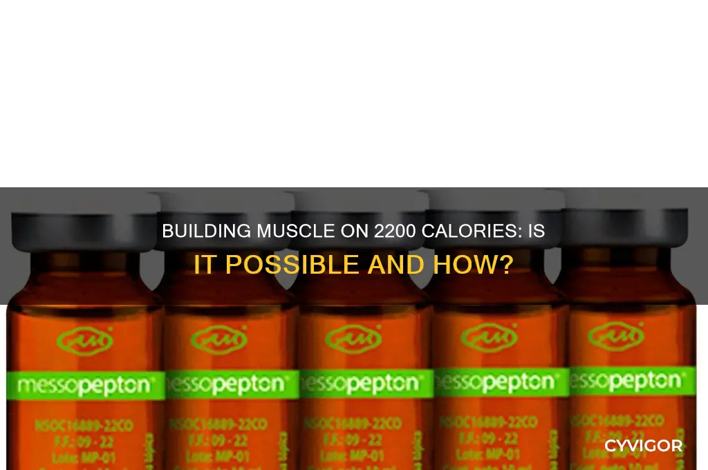 can i gain muscle at 2200