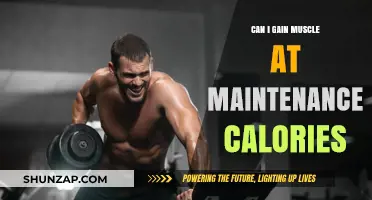 Building Muscle at Maintenance Calories: Is It Really Possible?