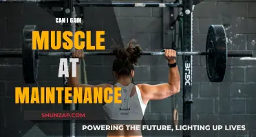 Building Muscle at Maintenance: Strategies for Strength and Size Without a Caloric Surplus