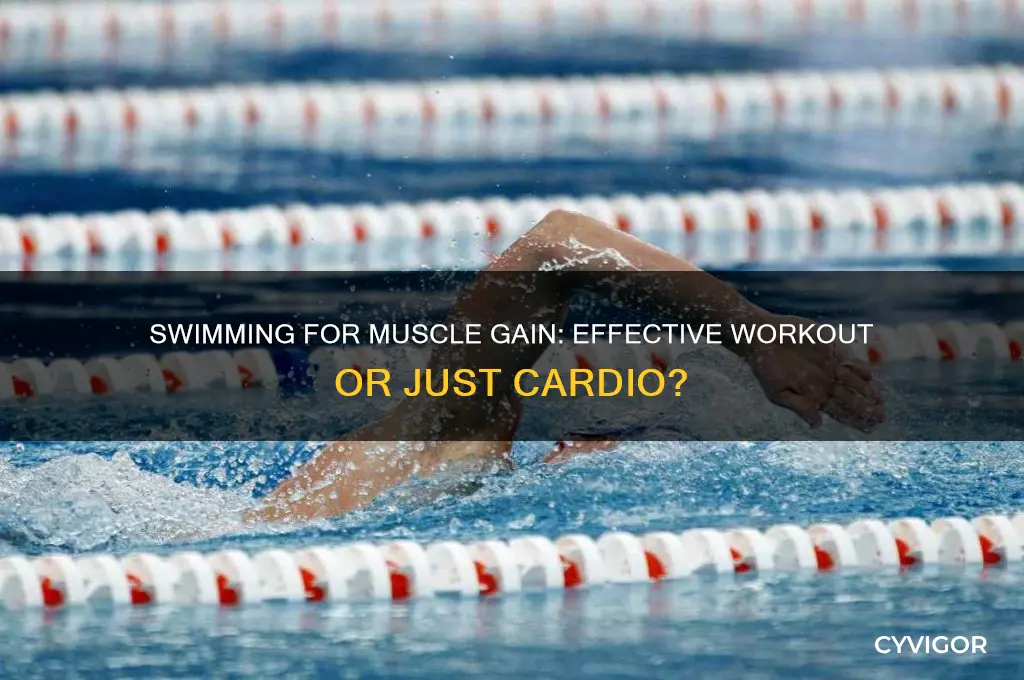can i gain muscle by swimming