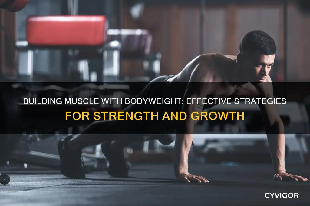 can i gain muscle doing bodyweight exercises