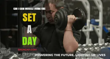 One Set a Day: Effective for Muscle Gain or Myth?