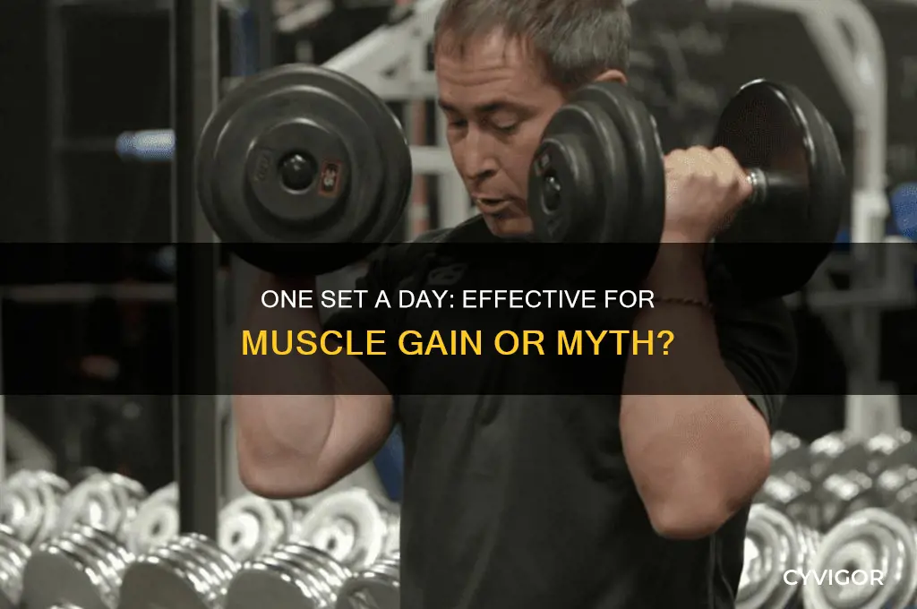 can i gain muscle doing one set a day