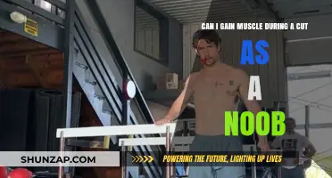 Can Beginners Build Muscle While Cutting? A Noob's Guide