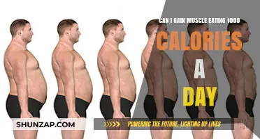 Building Muscle on a 1000-Calorie Diet: Is It Possible?