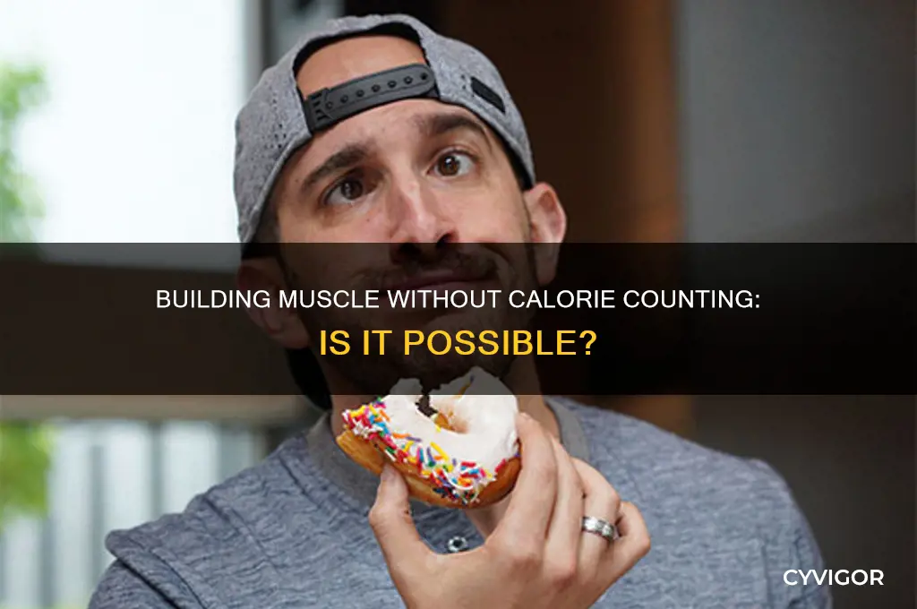 can i gain muscle if i dont track calories