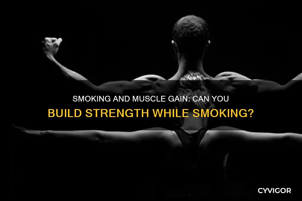 can i gain muscle if i smoke