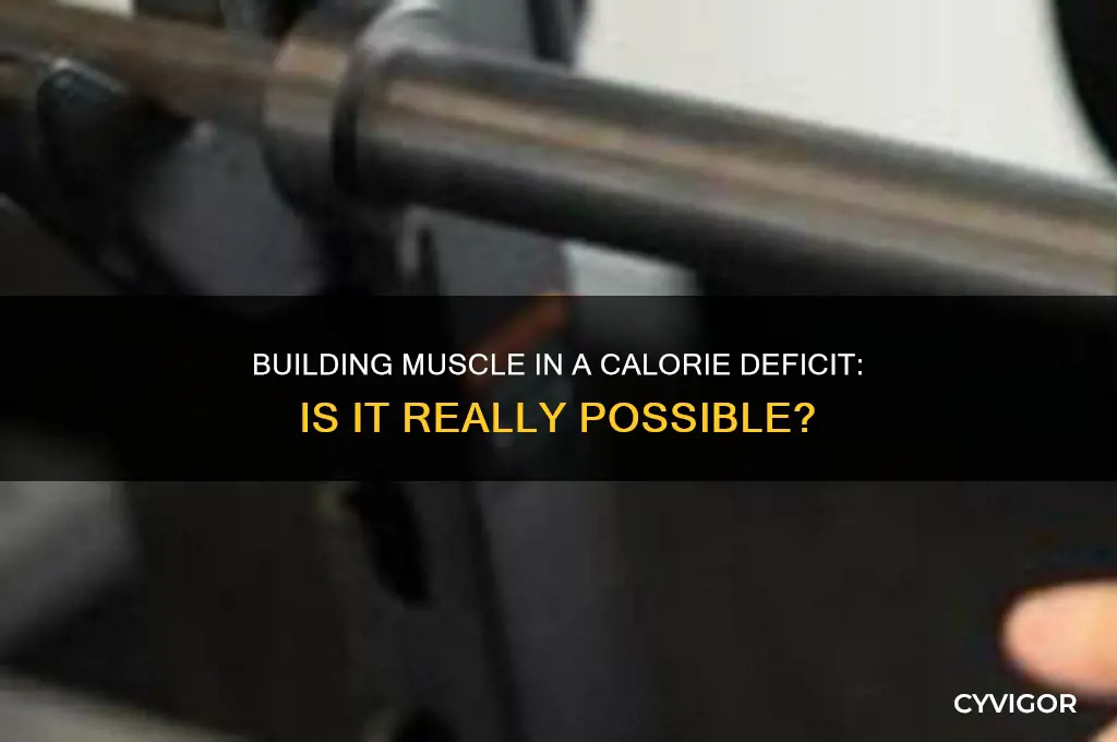 can i gain muscle in a deficit