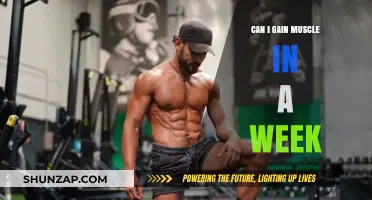 Can You Build Muscle in a Week? Quick Gains Explained
