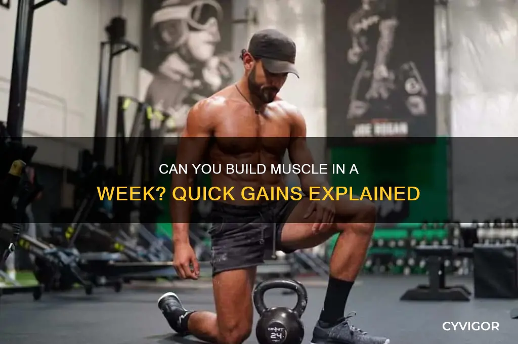 can i gain muscle in a week