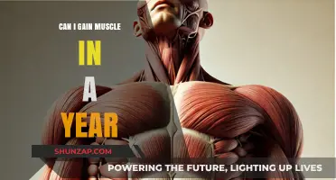 Building Muscle in a Year: Realistic Goals and Effective Strategies