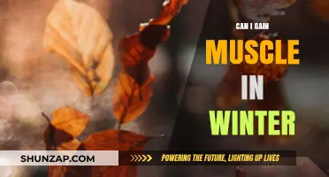 Winter Muscle Gain: Strategies for Building Strength in Cold Months
