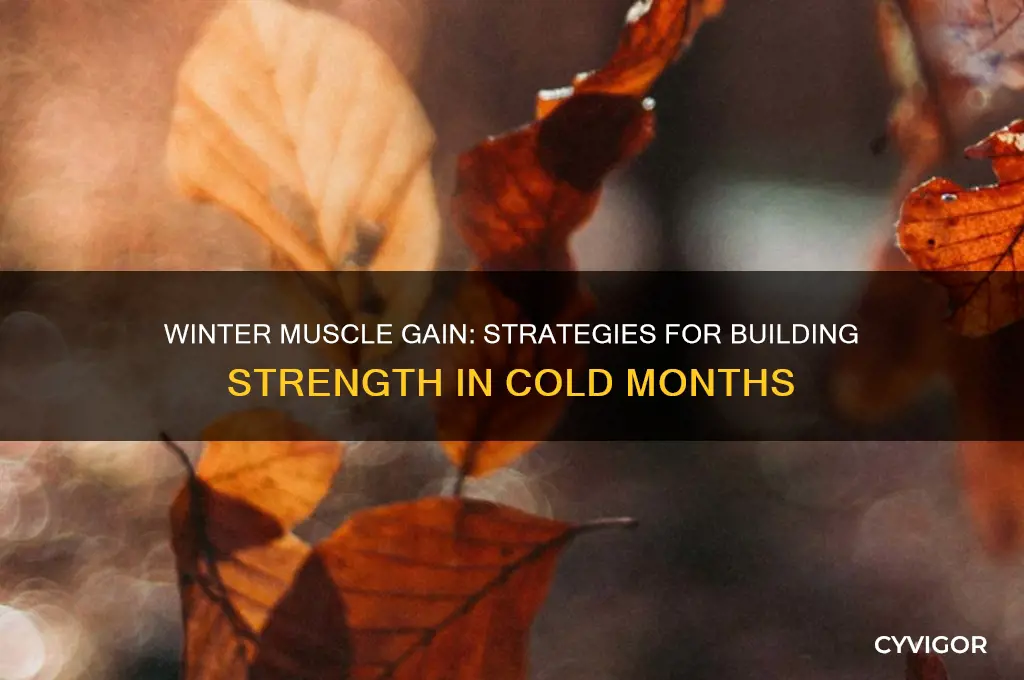can i gain muscle in winter