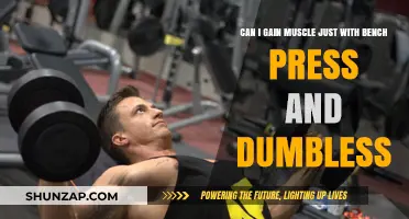 Building Muscle: Bench Press and Dumbbells Only – Is It Enough?