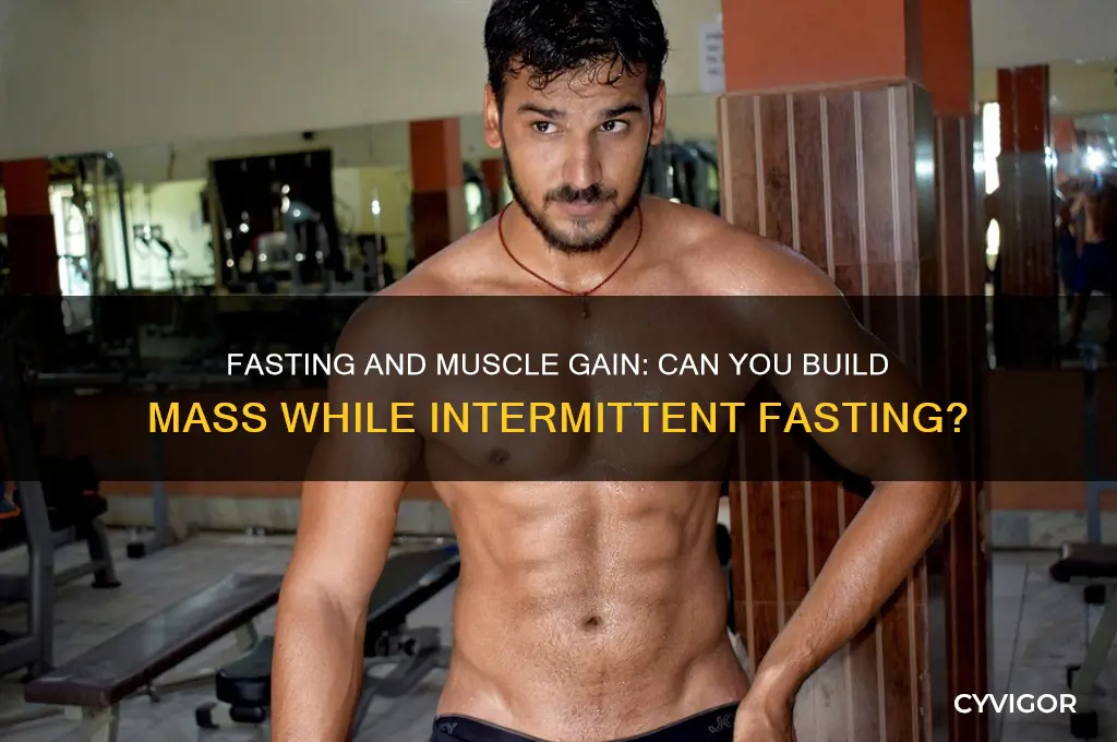 can i gain muscle mass when i am constantly fasting