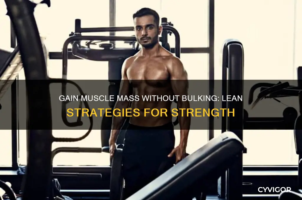 can i gain muscle mass without bulking