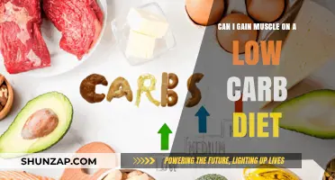 Building Muscle on Low Carb: Is It Possible and How?