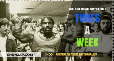 Can You Build Muscle with Just Three Weekly Lifting Sessions?
