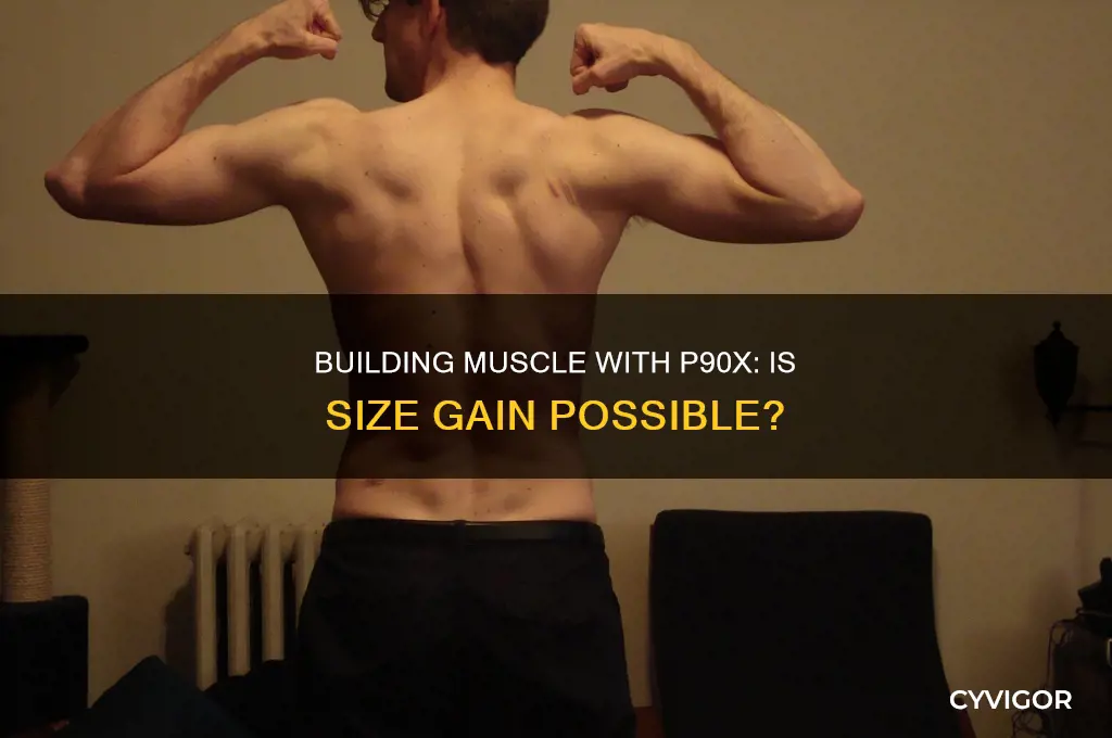 can i gain muscle size with p90x